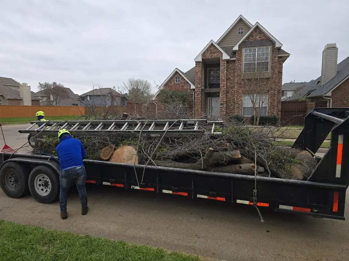 Expert Tree Fertilization with proper safety equipment in Wenona